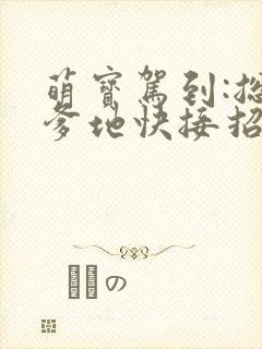 萌宝驾到:总裁爹地快接招