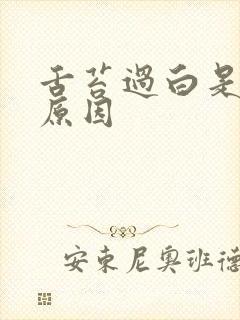 舌苔过白是什么原因