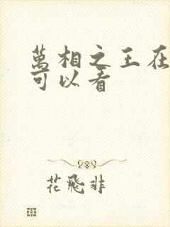 万相之王在哪里可以看