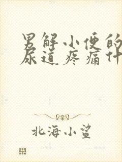 男解小便的时候尿道疼痛什么原因