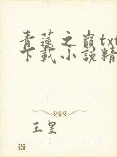 青莲之巅txt下载小说精校版