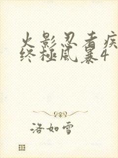 火影忍者疾风传终极风暴4