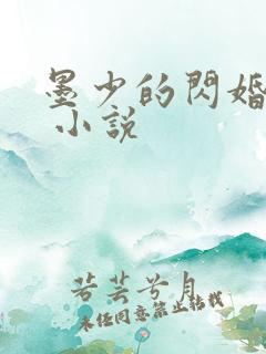 墨少的闪婚秘爱 小说