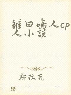 雏田鸣人cp同人小说