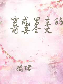 穿成男主的炮灰前妻全文