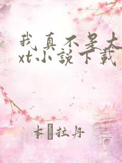 我真不是大佬txt小说下载