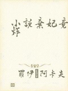 小说弃妃竟是王炸