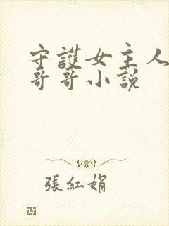 守护女主人公的哥哥小说