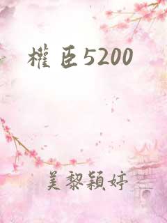 权臣5200