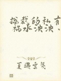 总裁的私有宝贝 祸水泱泱 小说