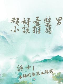 超好看双男主的小说推荐