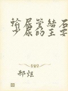 输尿管结石引起少尿的主要原因是