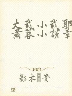 大武小武耶律齐黄蓉小说章节