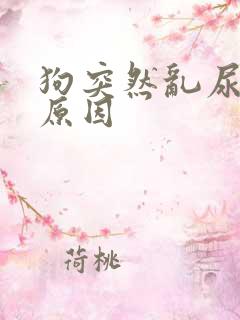 狗突然乱尿什么原因