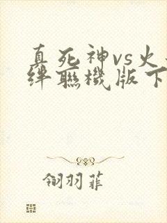 真死神vs火影绊联机版下载