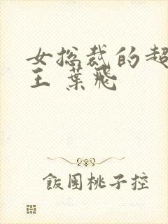 女总裁的超级兵王 叶飞