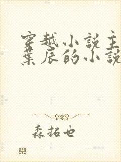 穿越小说主角叫叶辰的小说