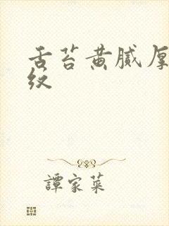 舌苔黄腻厚有裂纹