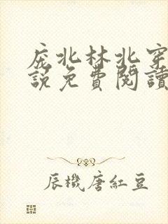 庞北林北穿越小说免费阅读