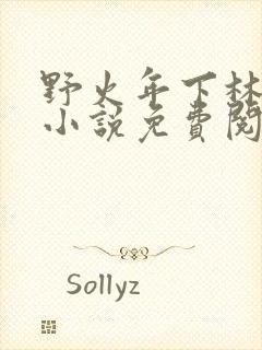 野火年下林春绵小说免费阅读最新章节