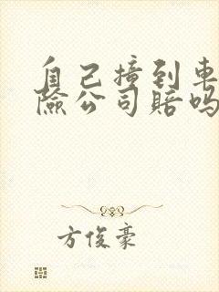 自己撞到车了保险公司赔吗