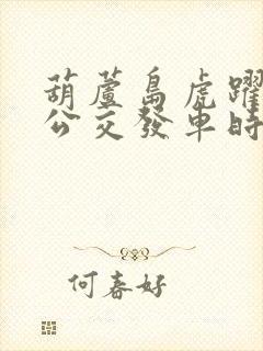 葫芦岛虎跃实时公交发车时间