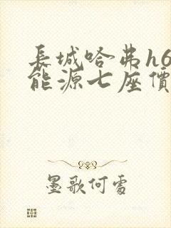 长城哈弗h6新能源七座价格