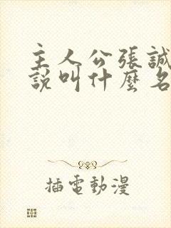 主人公张诚的小说叫什么名字