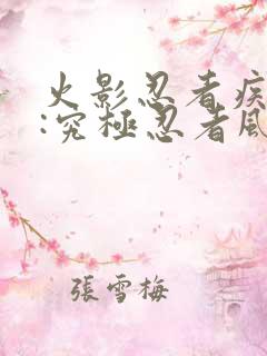 火影忍者疾风传:究极忍者风暴2