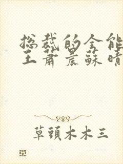 总裁的全能型兵王萧晨苏晴