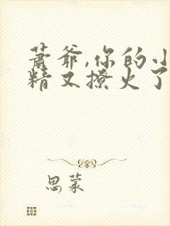 萧爷,你的小妖精又撩火了小说