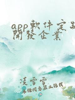 app软件定制开发企业