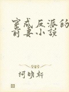 穿成反派的炮灰前妻小说