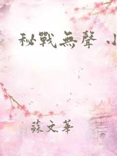 秘战无声 小说