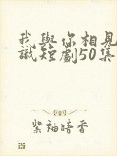 我与你相见不相识短剧50集剧情介绍