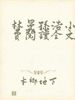 林曼孙浩小说免费阅读全文最新章节