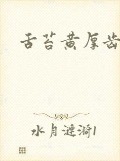 舌苔黄厚齿痕舌