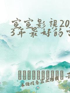 宣宣影视2023年最好的电视剧