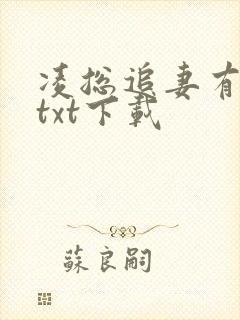 凌总追妻有点甜txt下载