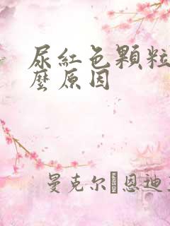 尿红色颗粒是什么原因