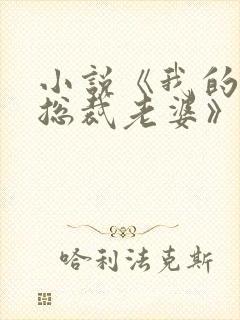 小说《我的冷艳总裁老婆》