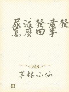 尿液发黄发浑是怎么回事