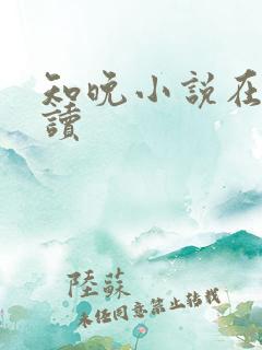 知晚小说在线阅读