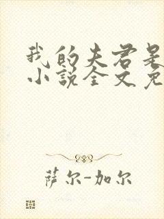 我的夫君是断袖小说全文免费阅读下载