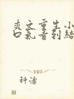 爽文重生小说一口气看到结局