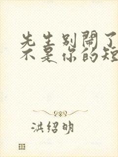 先生别闹了新娘不是你的短剧免费观看