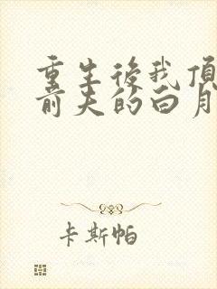 重生后我顶替了前夫的白月光下载