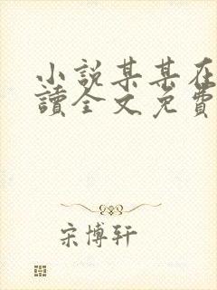 小说某某在线阅读全文免费