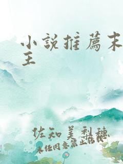 小说推荐末世女主