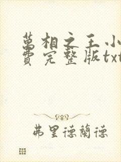 万相之王小说免费完整版txt下载